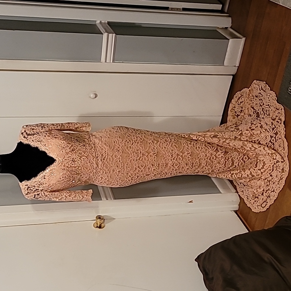 Alyce Paris Lace Gown.    Size 8